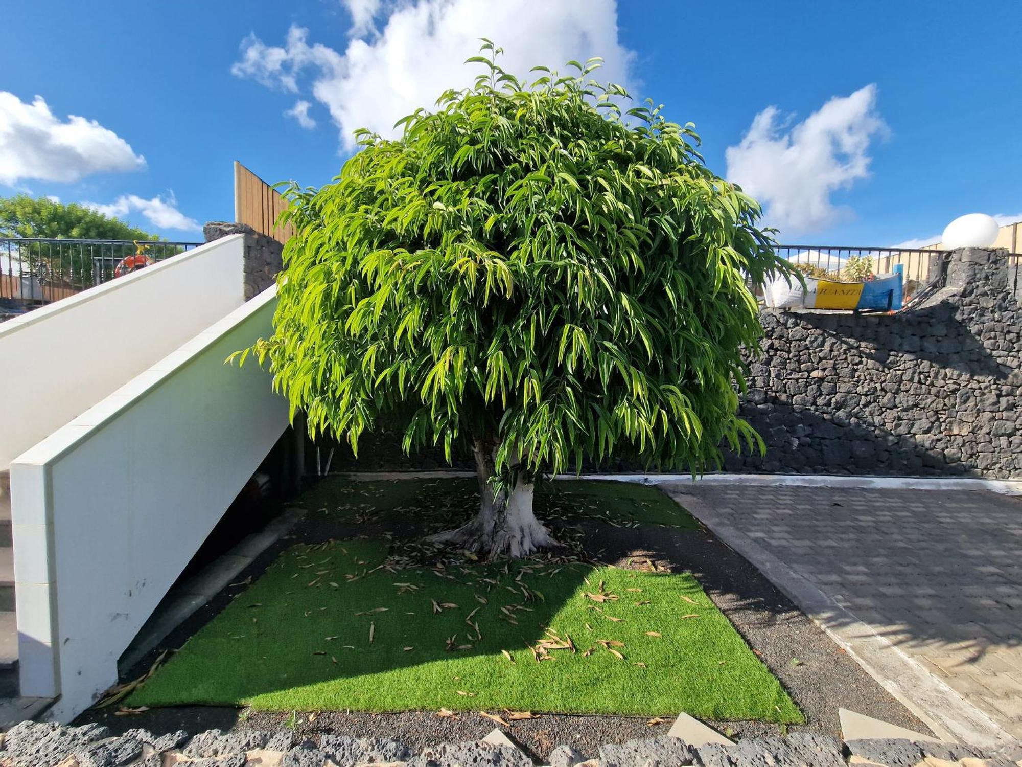 Villa Juanita, Puerto Del Carmen, Lanzarote ติอาส ภายนอก รูปภาพ